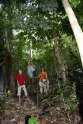 Penanjung nature reserve. Playing Tarzan on the vines, Java Pangandaran Indonesia